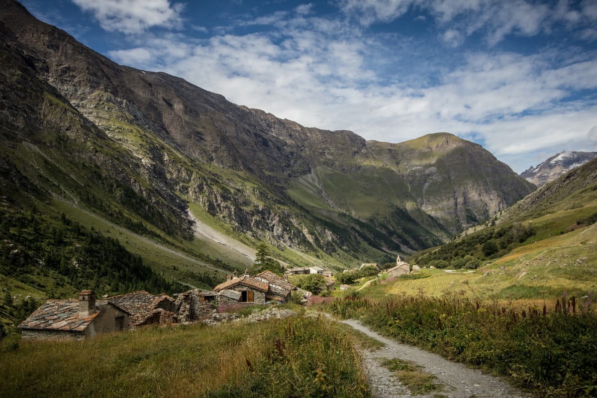 L'homme semence, Violette Ailhaud